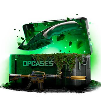 Opcases case preview 10