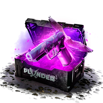 Plunder case preview 11