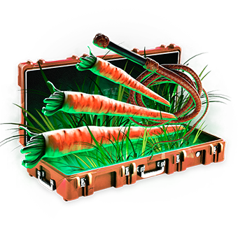 Rustyloot case preview 112