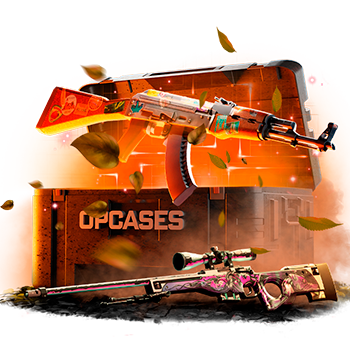 Opcases case preview 14