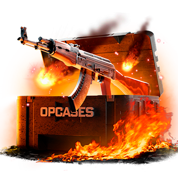 Opcases case preview 15