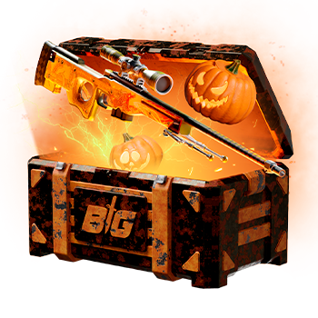 CSGOBIG case preview 22
