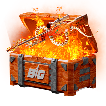 CSGOBIG case preview 24