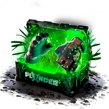 Plunder case preview 31