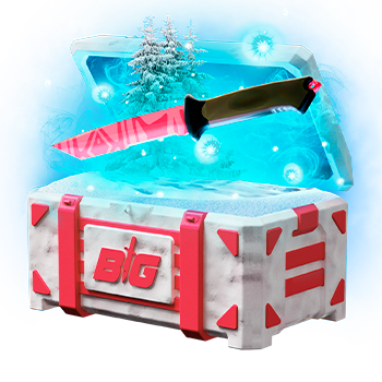 CSGOBIG case preview 33