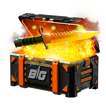 CSGOBIG case preview 4