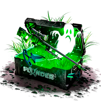 Plunder case preview 46