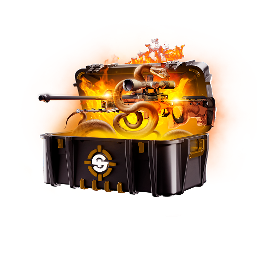 Skinrave case preview 1