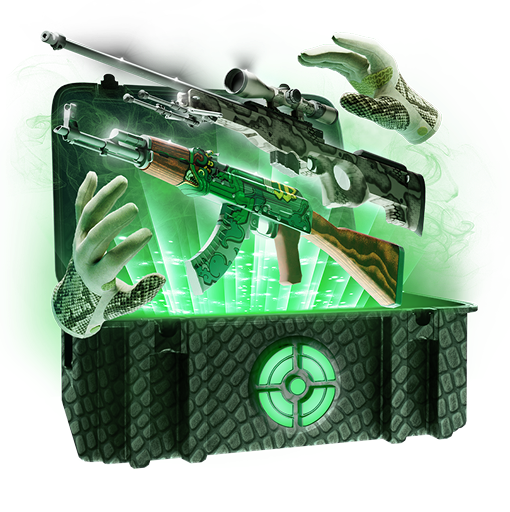 Hunt.gg case preview 10