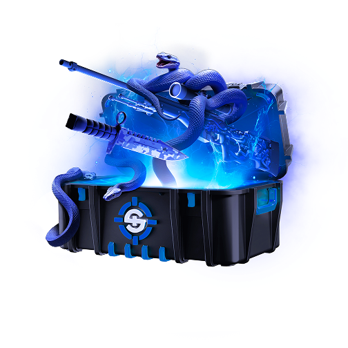 Skinrave case preview 2