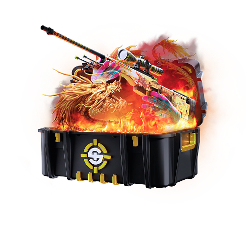 Skinrave case preview 3