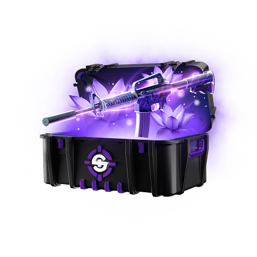 Skinrave case preview 4