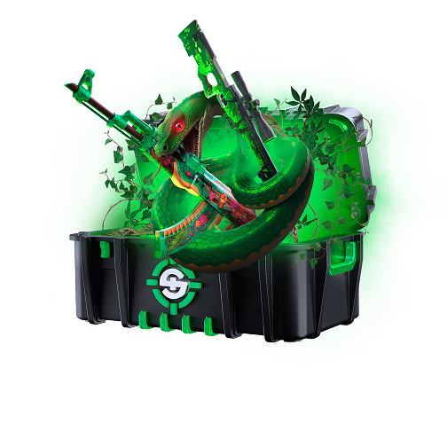 Skinrave case preview 14