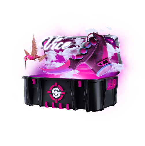 Skinrave case preview 16