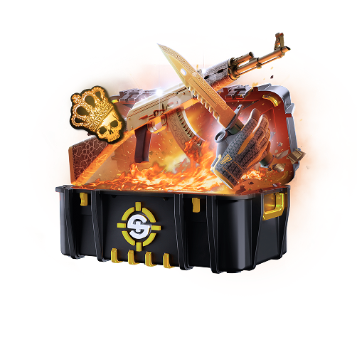 Skinrave case preview 17