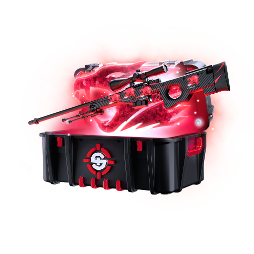 Skinrave case preview 29