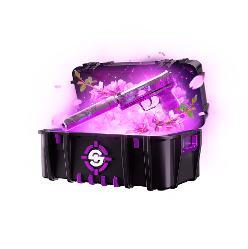 Skinrave case preview 31