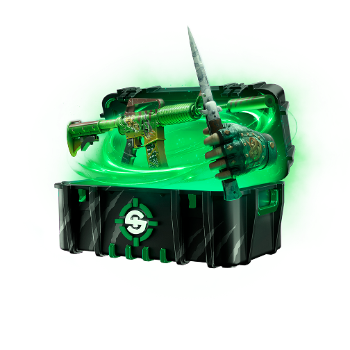 Skinrave case preview 52