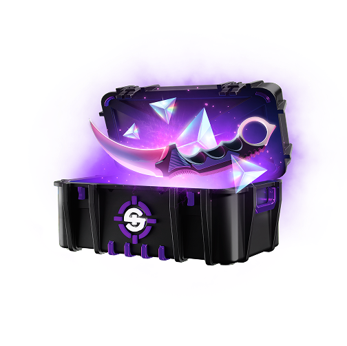 Skinrave case preview 53