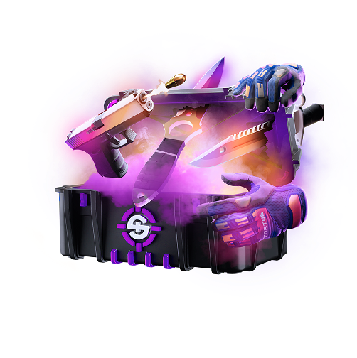 Skinrave case preview 44