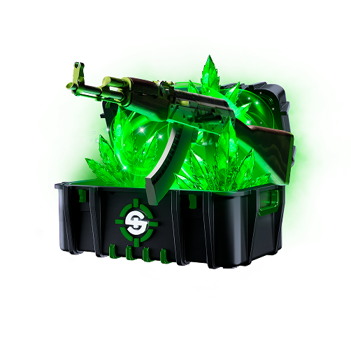 Skinrave case preview 67