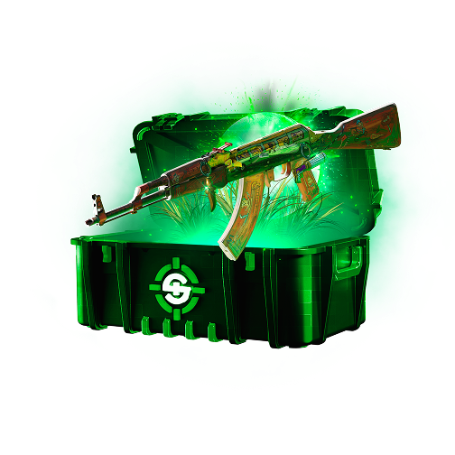 Skinrave case preview 61