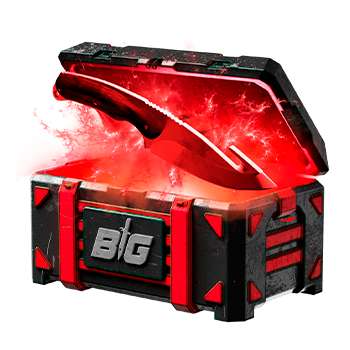CSGOBIG case preview 7