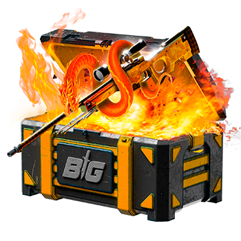 CSGOBIG case preview 9