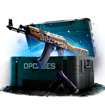 Opcases case preview 9