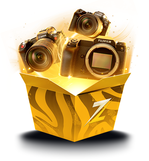 Razed case preview 10