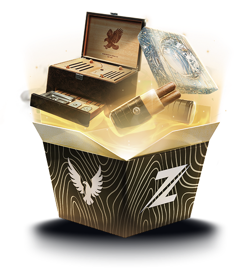 Razed case preview 64