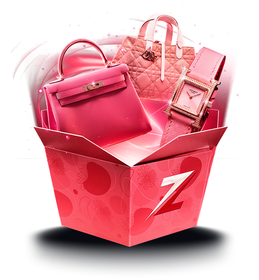 Razed case preview 66