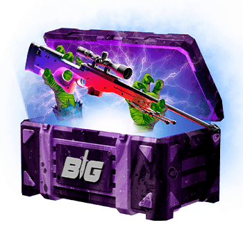 csgobig Case