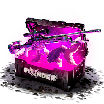 plunder Case