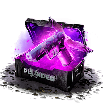 plunder Case