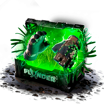 plunder Case