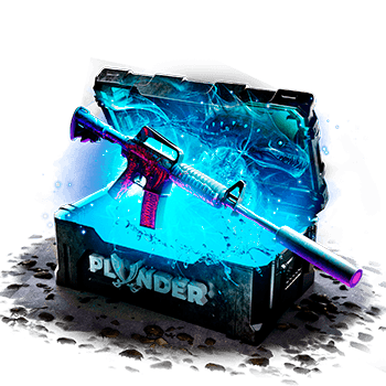 plunder Case