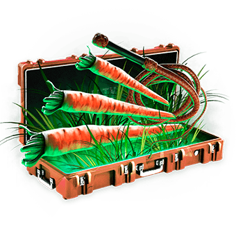 Rustyloot Case