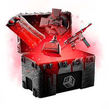 Skinsbet Case