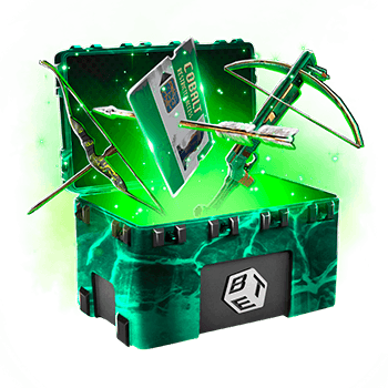 Skinsbet Case