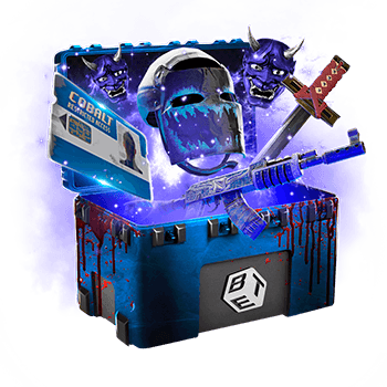 Skinsbet Case