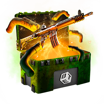 Skinsbet Case
