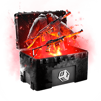 Skinsbet Case