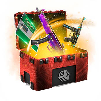 Skinsbet Case