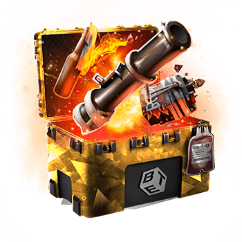 Skinsbet Case
