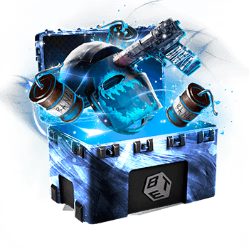 Skinsbet Case
