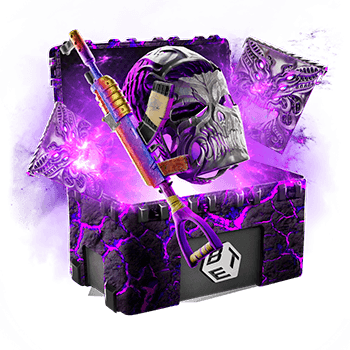 Skinsbet Case