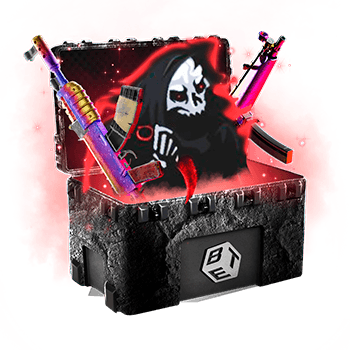 Skinsbet Case