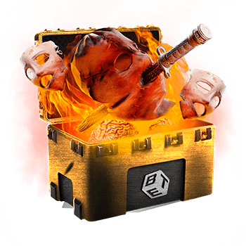 Skinsbet Case