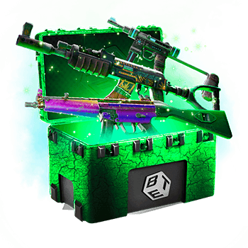 Skinsbet Case